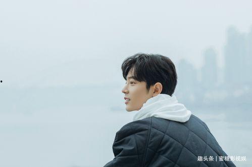 肖战感情爆料视频大全集,揭秘视频大全集背后的真相与争议