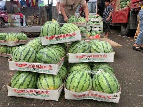 扫一扫免费吃瓜,免费瓜分惊喜,畅享夏日清凉! 第2张 扫一扫免费吃瓜,免费瓜分惊喜,畅享夏日清凉! 第2张